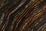 Polished Tiger Iron Stromatolite - Billion Years #129339-1